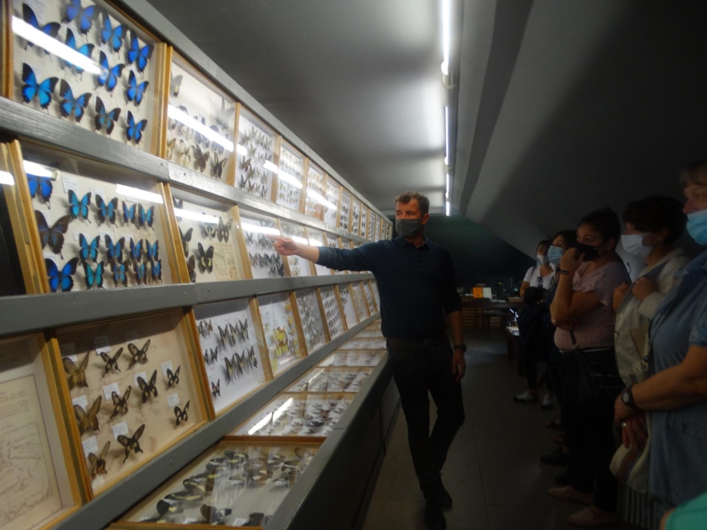 Wizyta w Muzeum Motyli Arthropoda